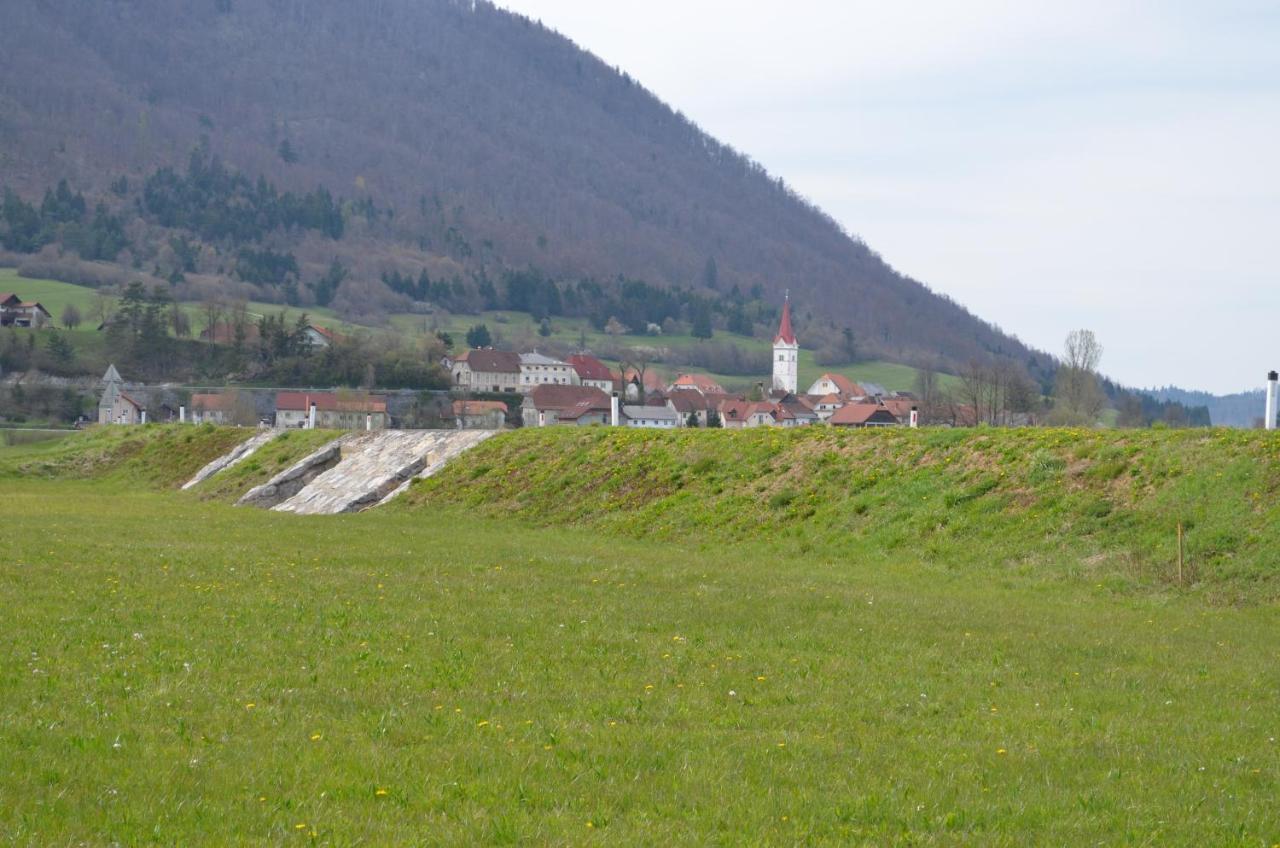 Apartma Nika Planina  Exterior foto