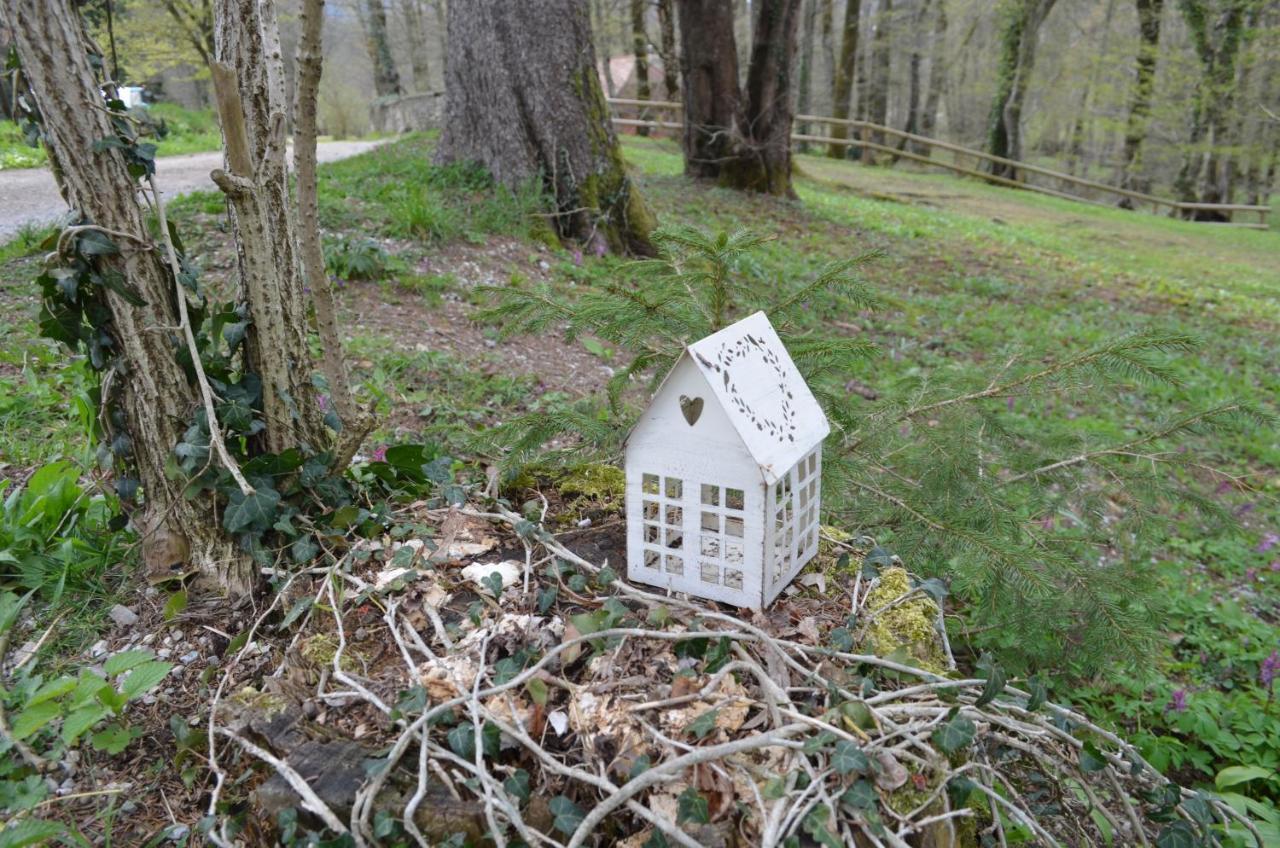 Apartma Nika Planina  Exterior foto